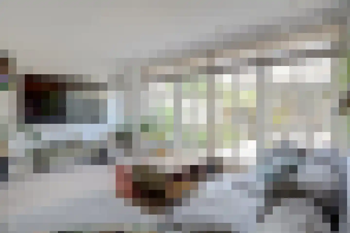 Hannie Schaftlaan 60 Lisse thumbnail 14