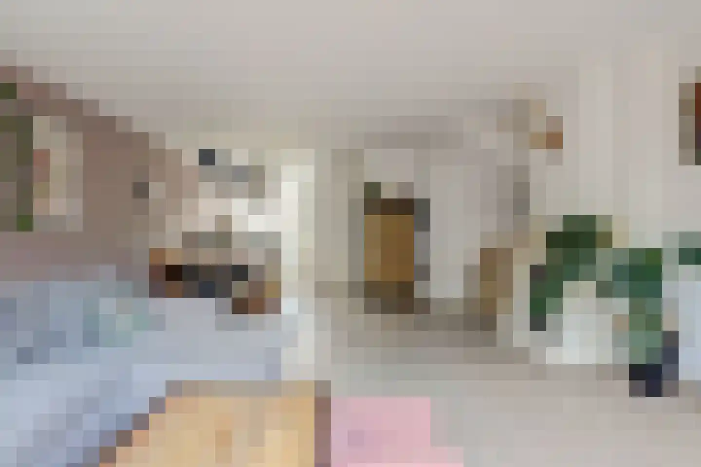 Hannie Schaftlaan 60 Lisse thumbnail 16