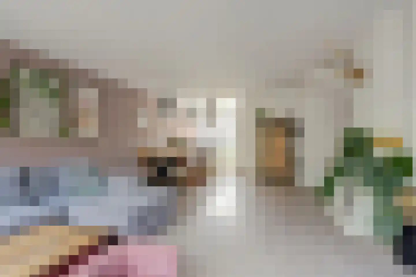 Hannie Schaftlaan 60 Lisse thumbnail 17