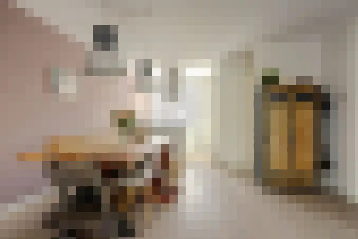Hannie Schaftlaan 60 Lisse thumbnail 18