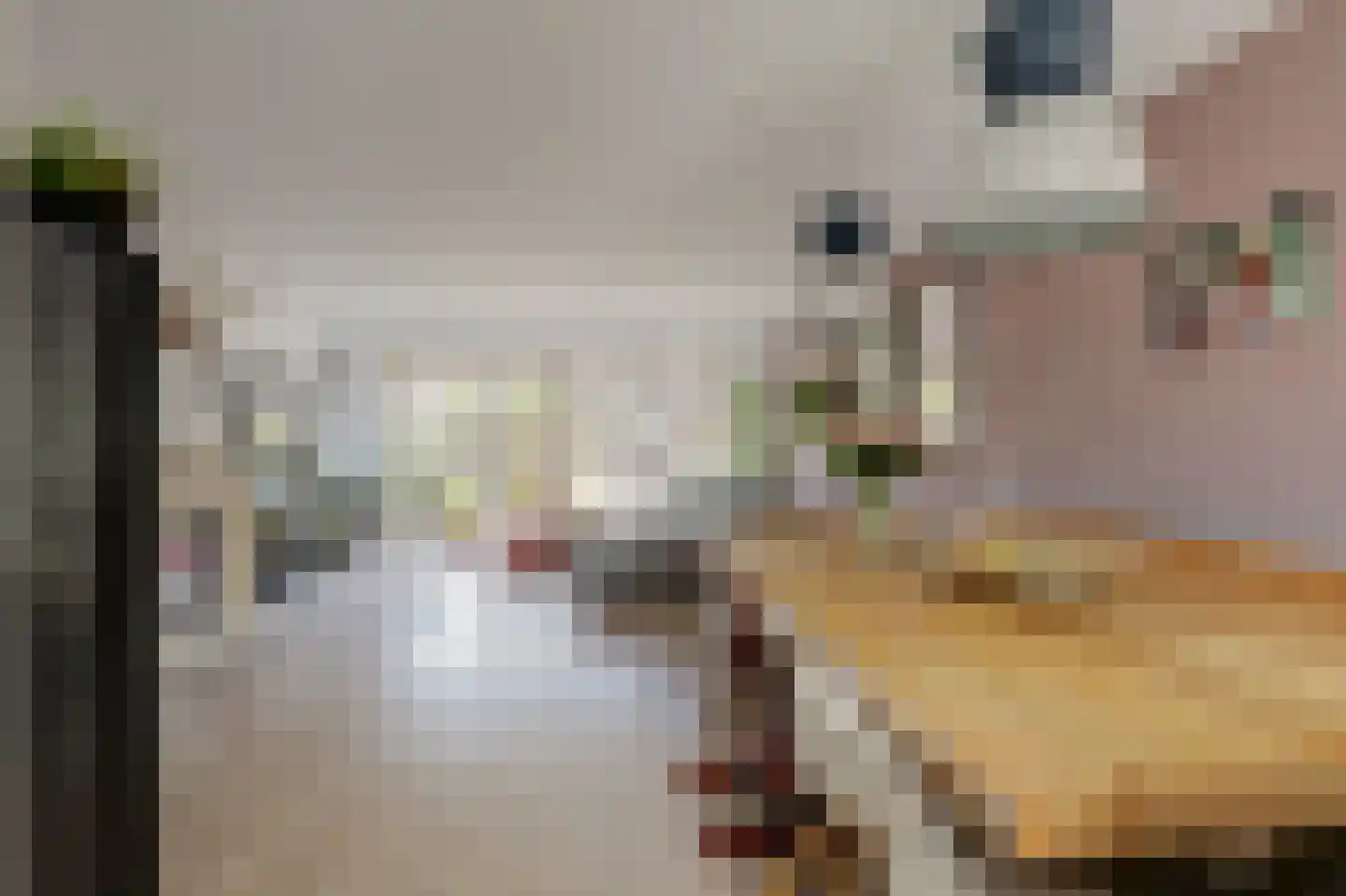 Hannie Schaftlaan 60 Lisse thumbnail 19
