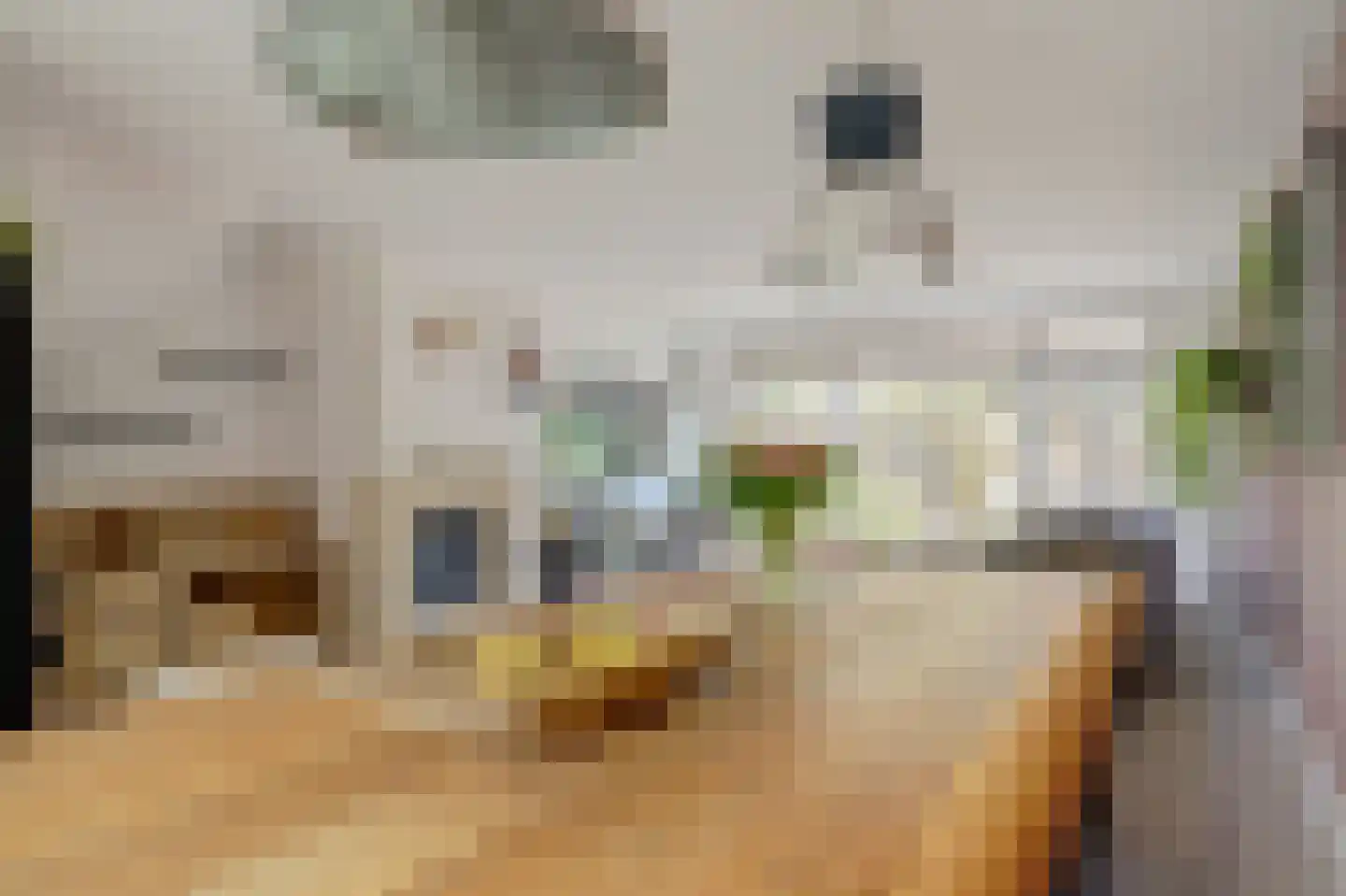 Hannie Schaftlaan 60 Lisse thumbnail 20