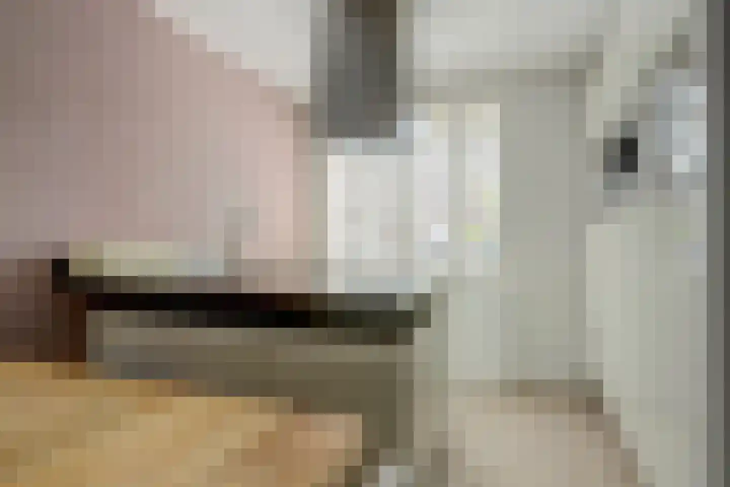 Hannie Schaftlaan 60 Lisse thumbnail 21