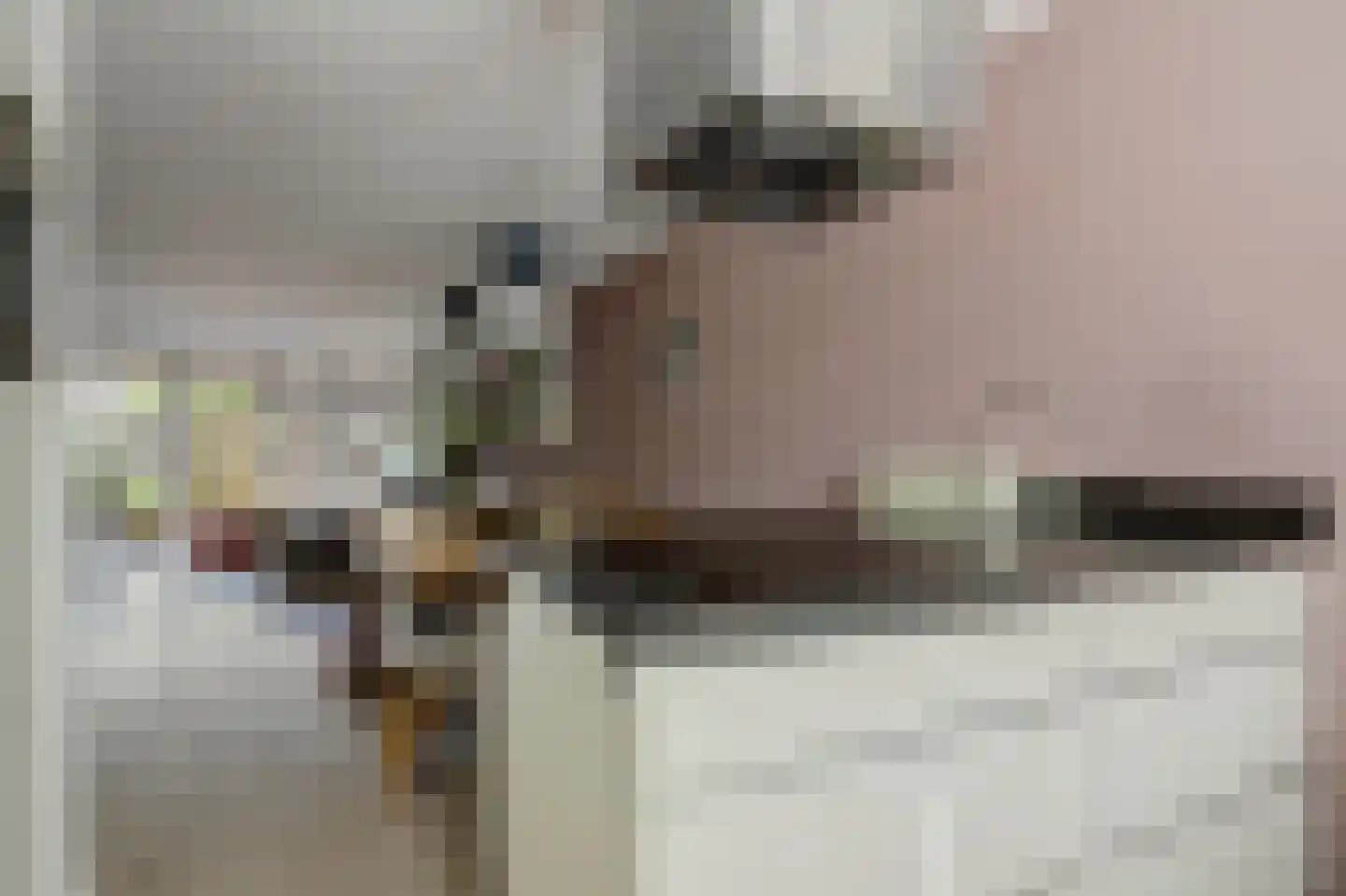 Hannie Schaftlaan 60 Lisse thumbnail 22