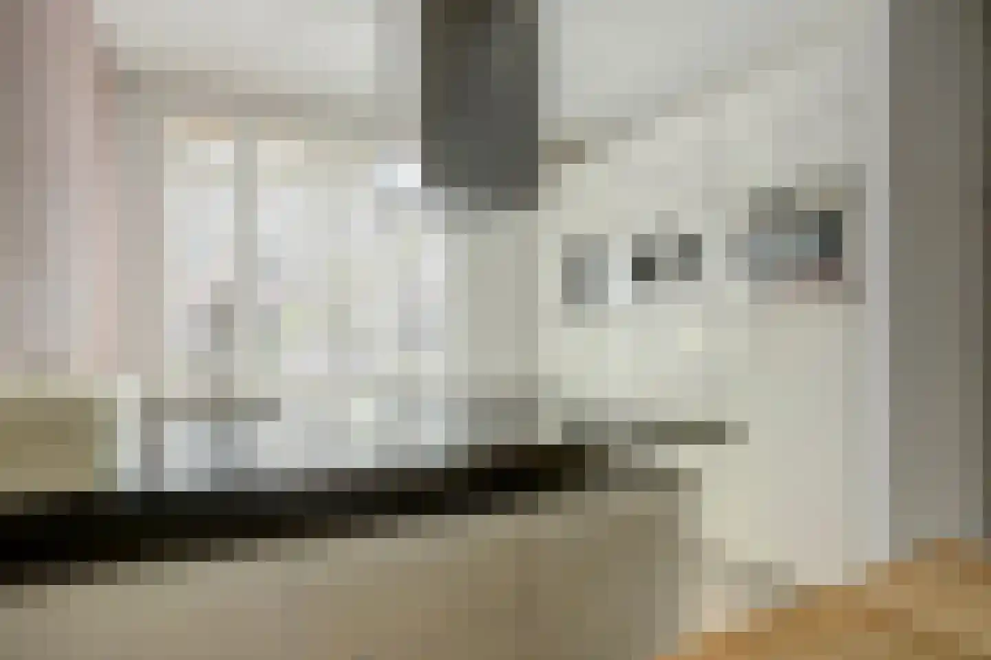 Hannie Schaftlaan 60 Lisse thumbnail 23