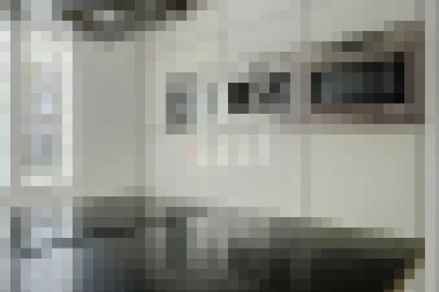Hannie Schaftlaan 60 Lisse thumbnail 24