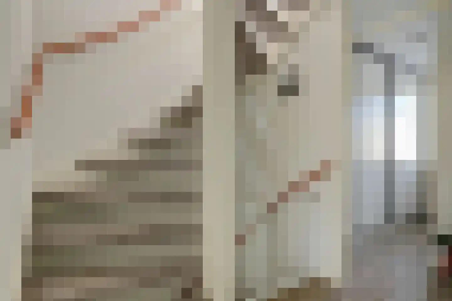 Hannie Schaftlaan 60 Lisse thumbnail 25