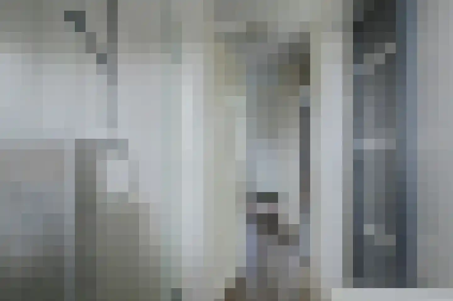 Hannie Schaftlaan 60 Lisse thumbnail 29