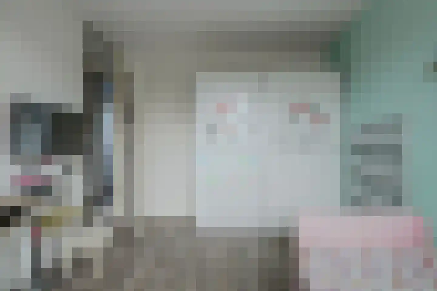 Hannie Schaftlaan 60 Lisse thumbnail 35