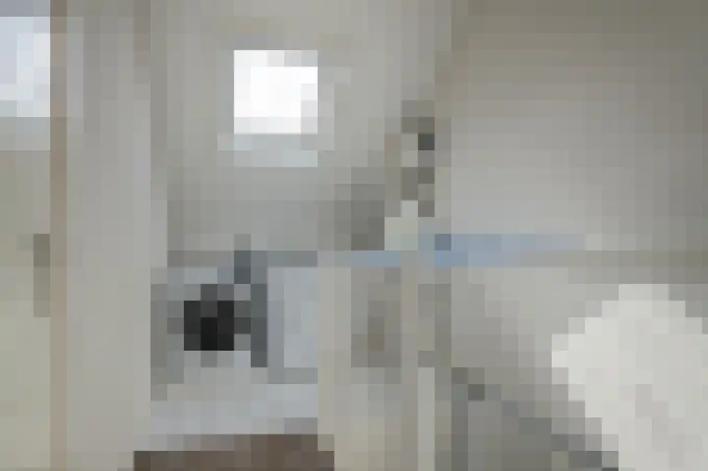 Hannie Schaftlaan 60 Lisse thumbnail 37