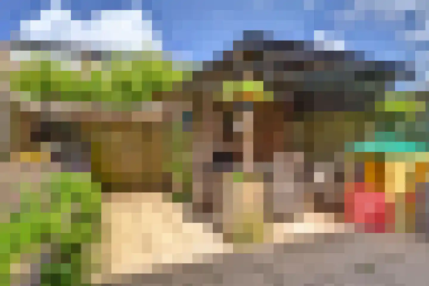 Hannie Schaftlaan 60 Lisse thumbnail 48