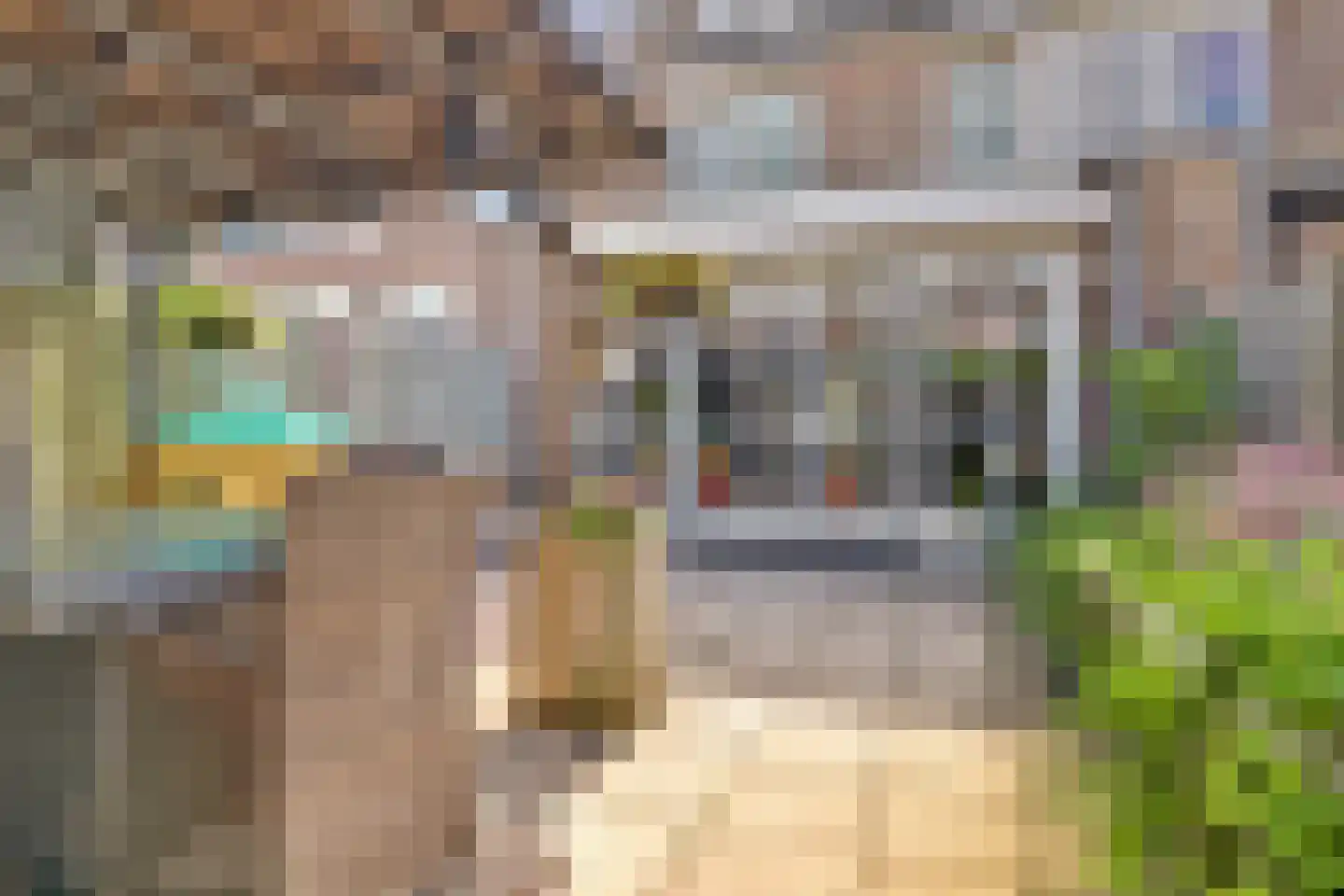 Hannie Schaftlaan 60 Lisse thumbnail 49