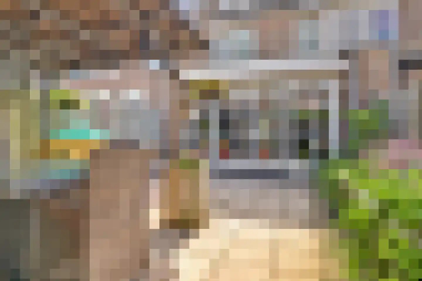 Hannie Schaftlaan 60 Lisse thumbnail 6
