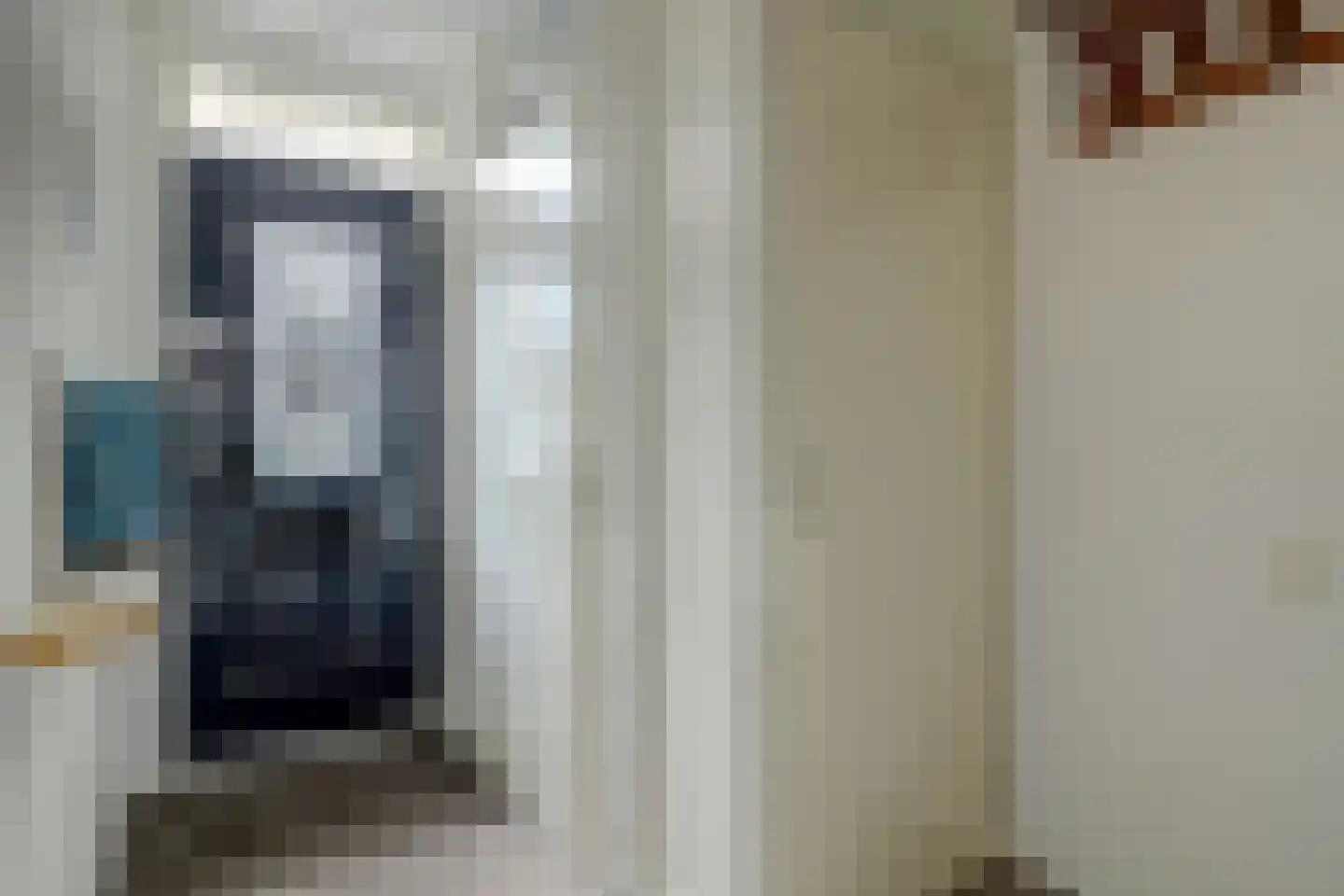 Hannie Schaftlaan 60 Lisse thumbnail 9