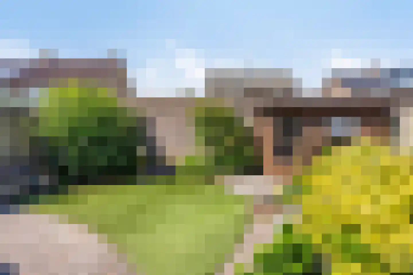 Hannie Schaftplantsoen 26 Oss thumbnail 23