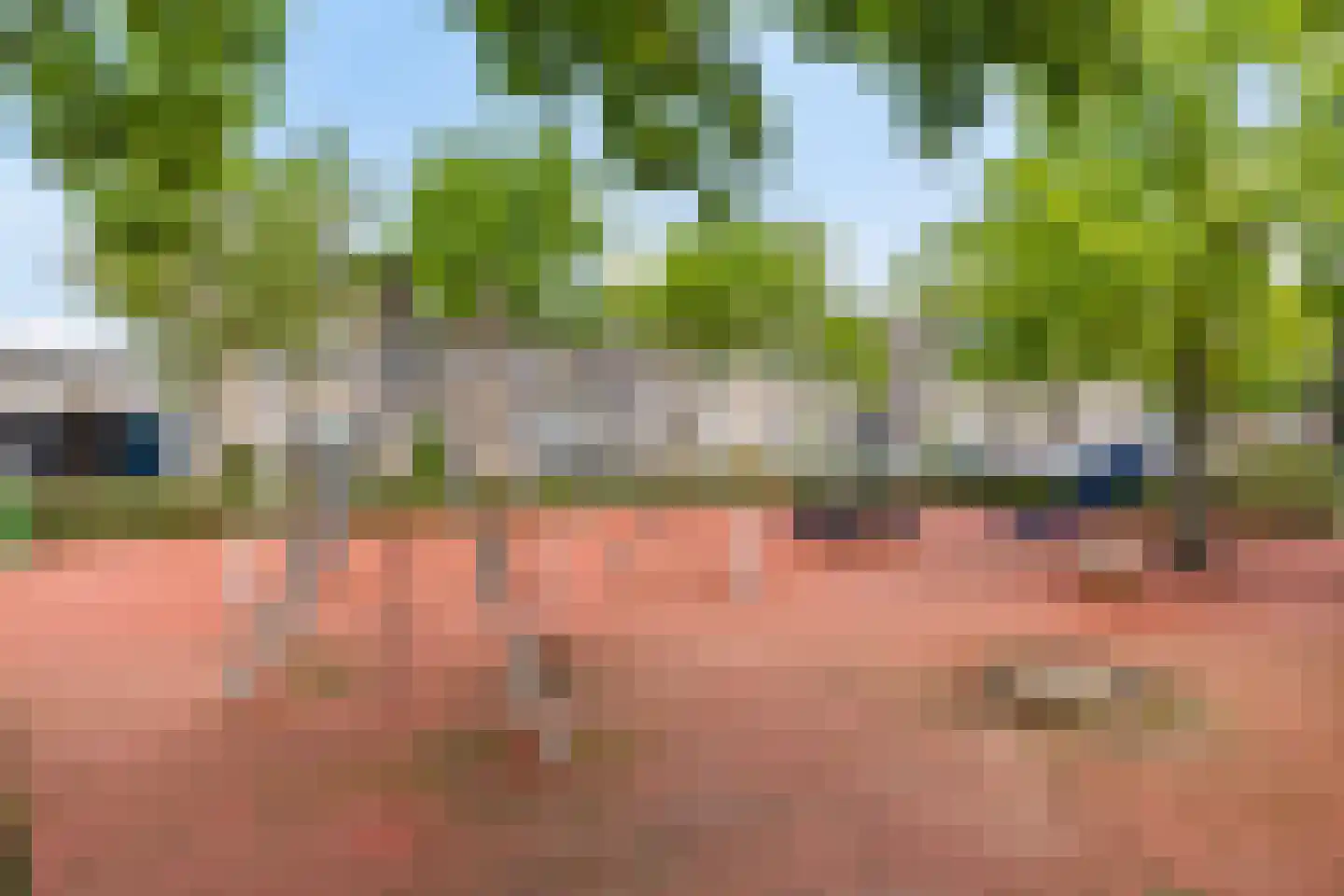 Hannie Schaftplantsoen 26 Oss thumbnail 27