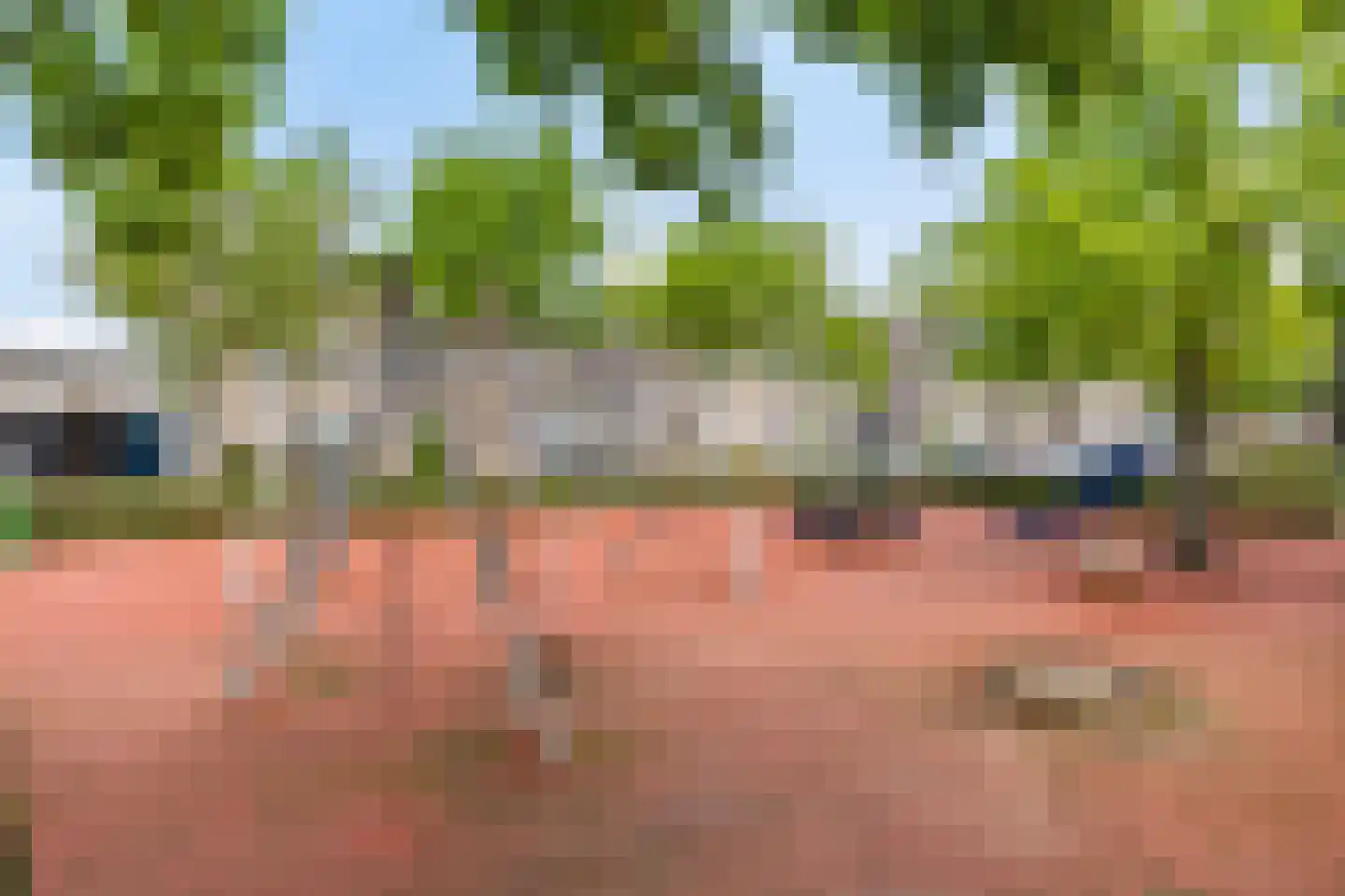 Hannie Schaftplantsoen 26 Oss thumbnail 27