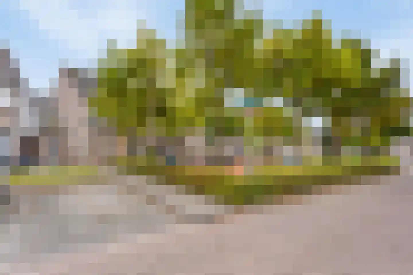 Hannie Schaftplantsoen 31 Oss thumbnail 24