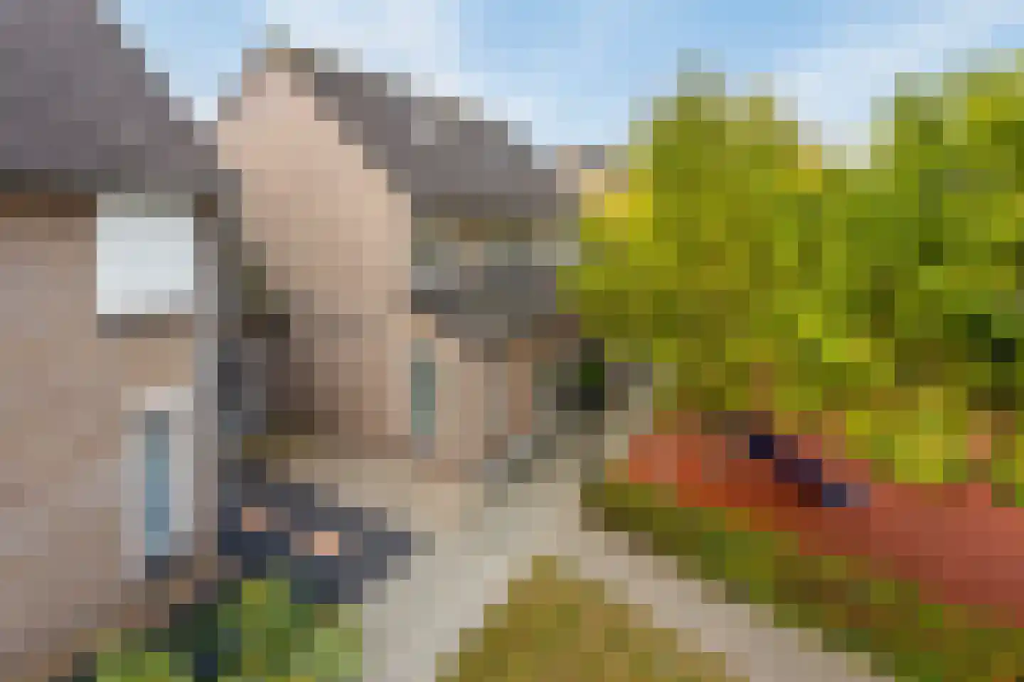 Hannie Schaftplantsoen 31 Oss thumbnail 25