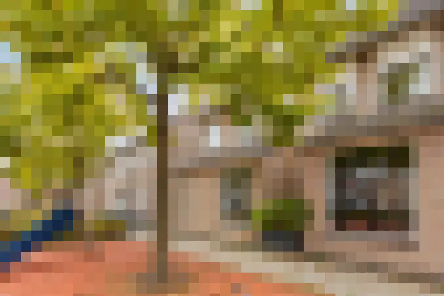 Hannie Schaftplantsoen 31 Oss thumbnail 27