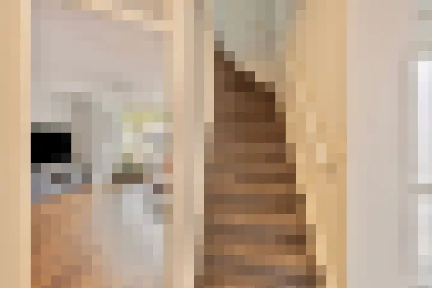 Hannie Schaftplantsoen 31 Oss thumbnail 8