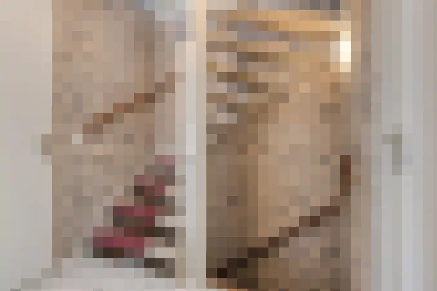 Hannie Schaftplantsoen 41 Oss thumbnail 21