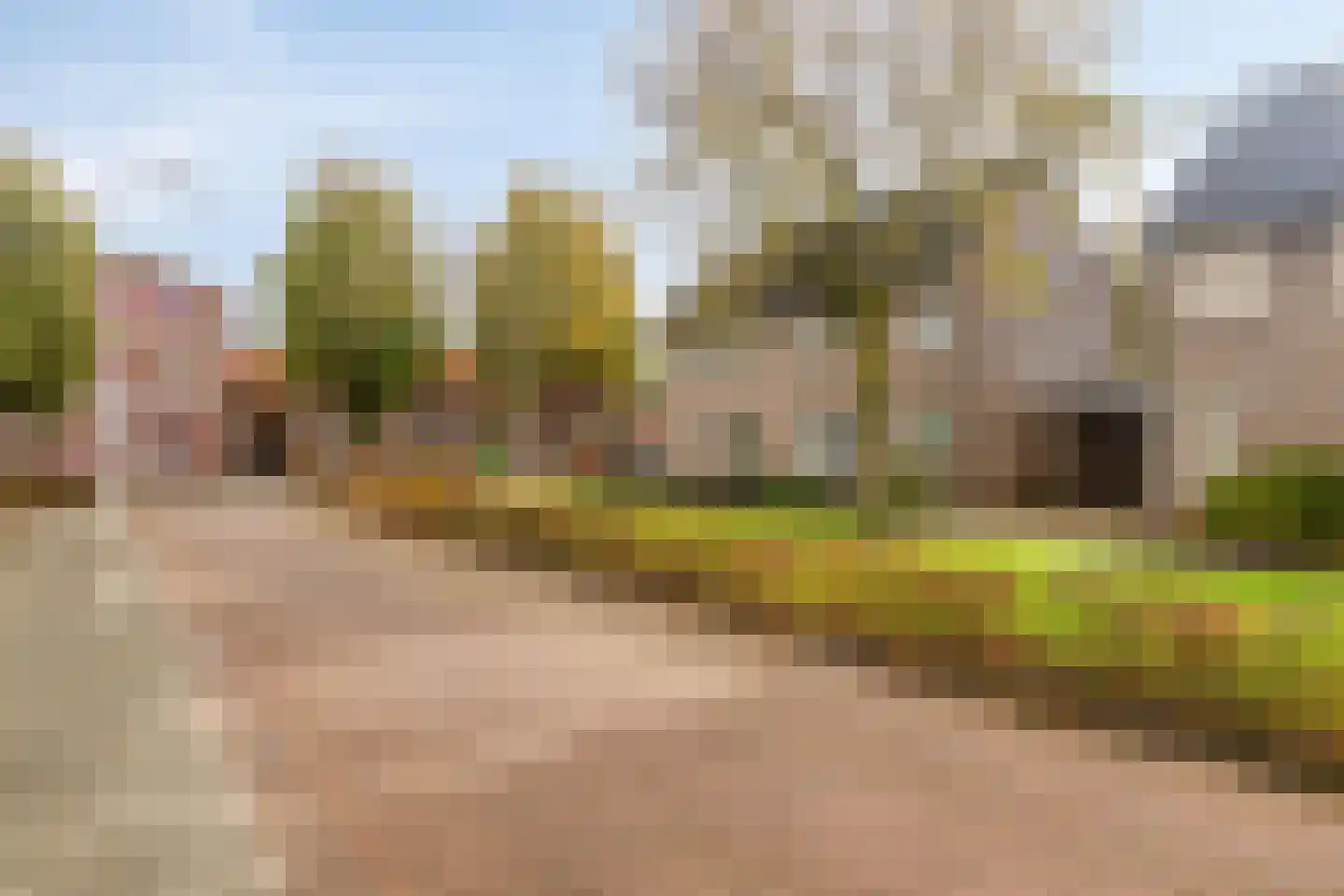 Hannie Schaftplantsoen 41 Oss thumbnail 35