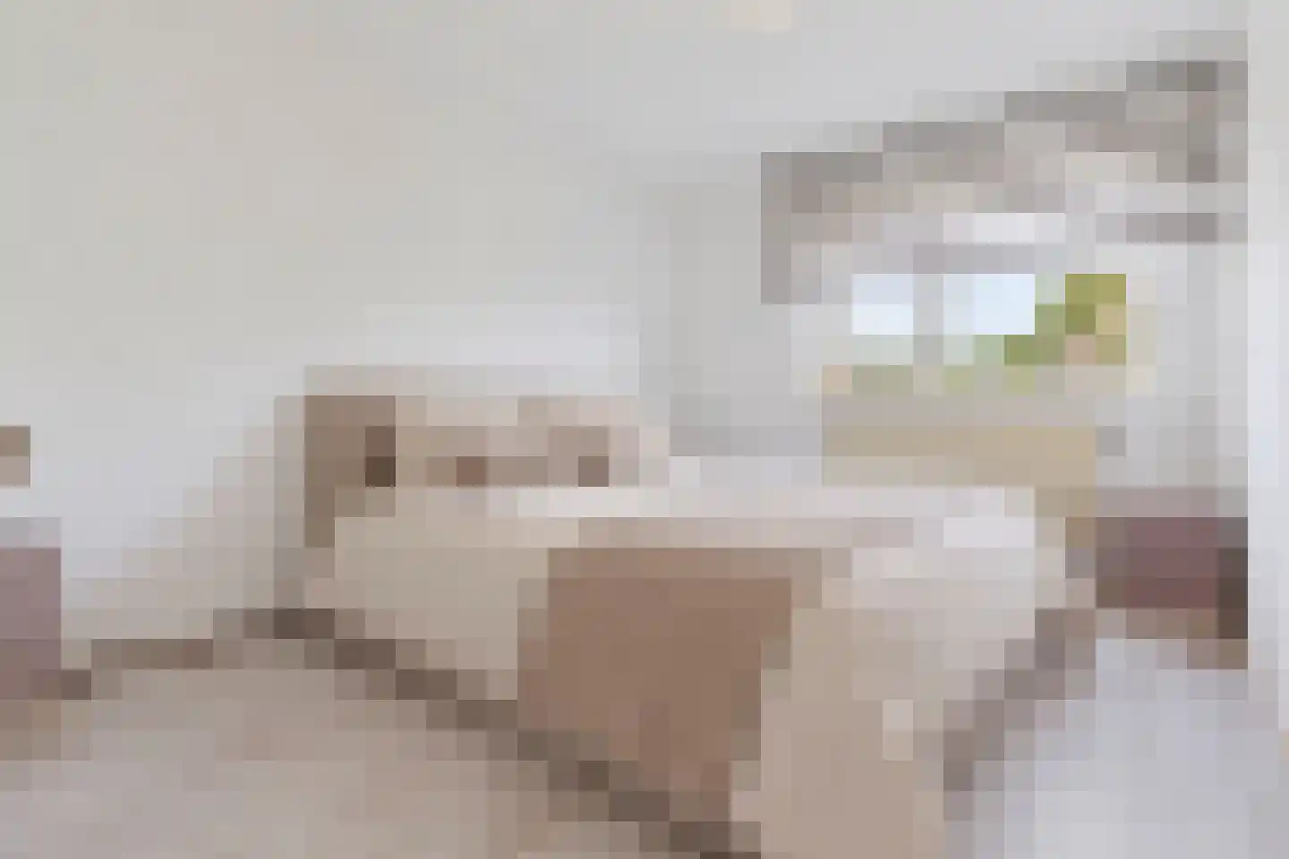 Hannie Schaftplein 11 Helmond thumbnail 20