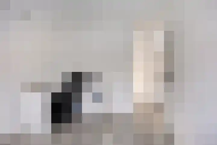 Hannie Schaftplein 9 Helmond thumbnail 4