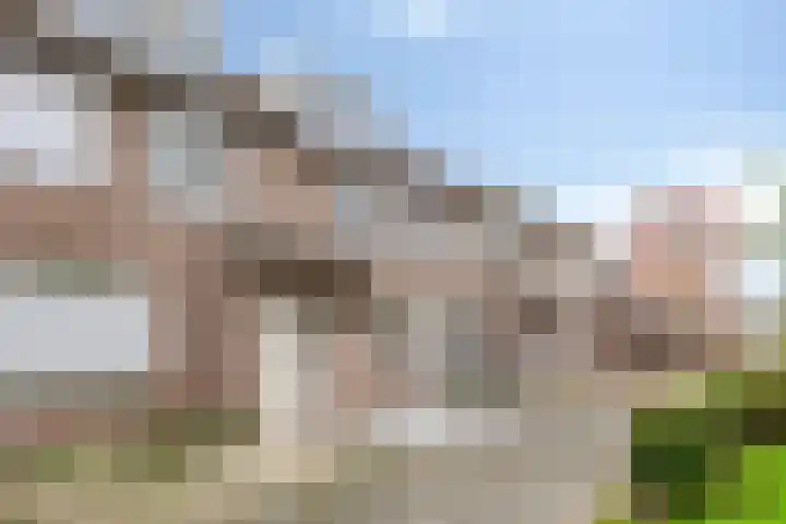 Hannie Schaftplein 9 Helmond thumbnail 8