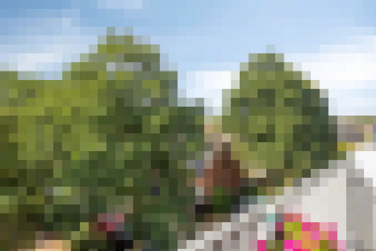 Hannie Schaftrode 126 Zoetermeer thumbnail 18