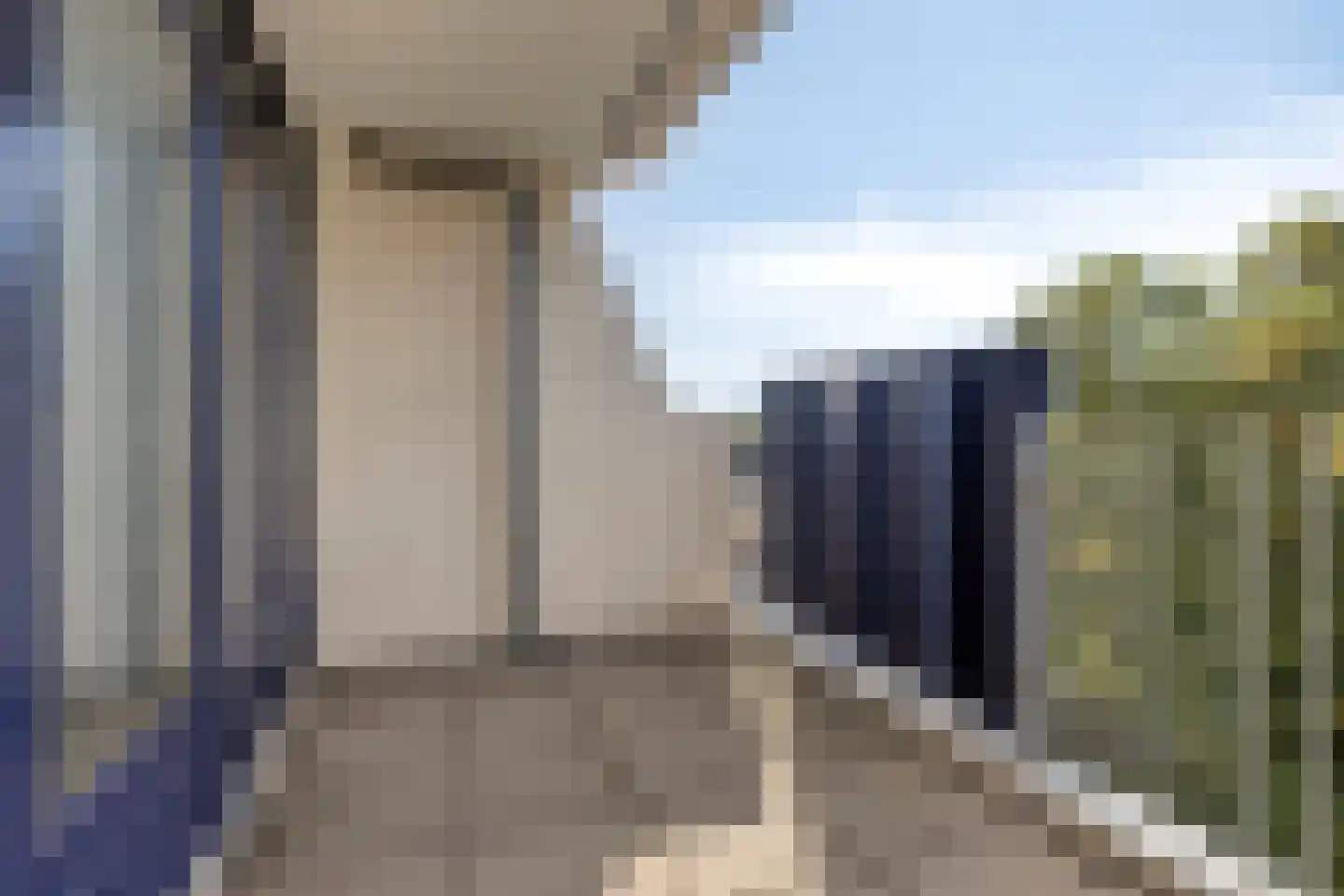 Hannie Schaftrode 126 Zoetermeer thumbnail 19