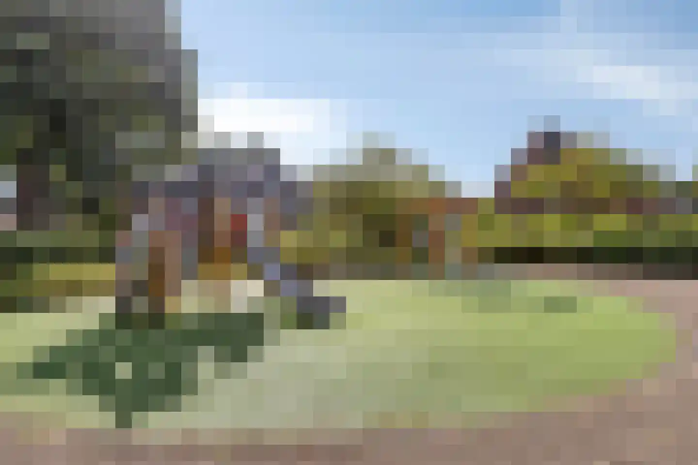 Hannie Schaftrode 126 Zoetermeer thumbnail 27