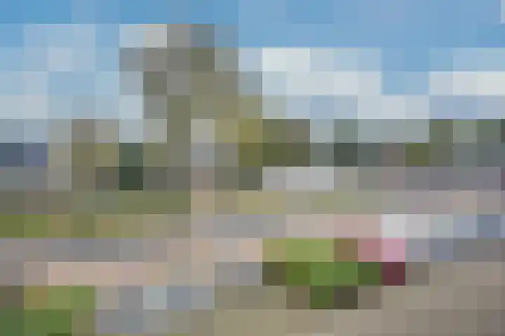 Hannie Schaftrode 40 Zoetermeer thumbnail 10