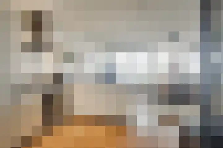 Hannie Schaftrode 40 Zoetermeer thumbnail 20