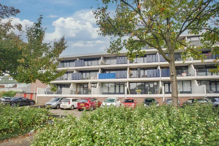Hannie Schaftrode 40 Zoetermeer thumbnail 32