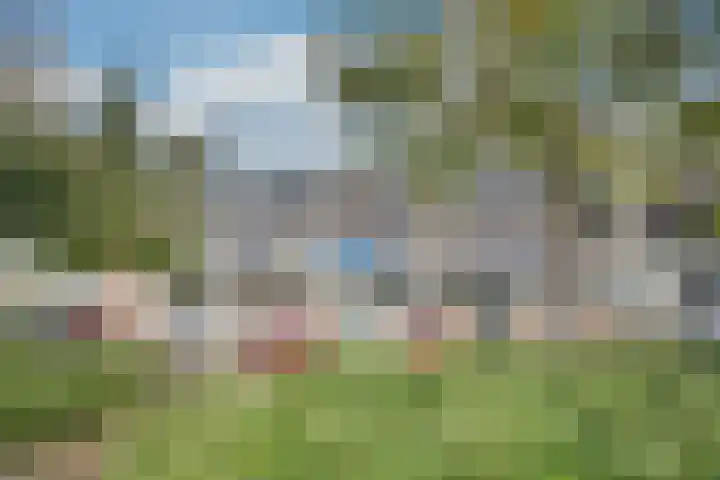 Hannie Schaftrode 40 Zoetermeer thumbnail 32