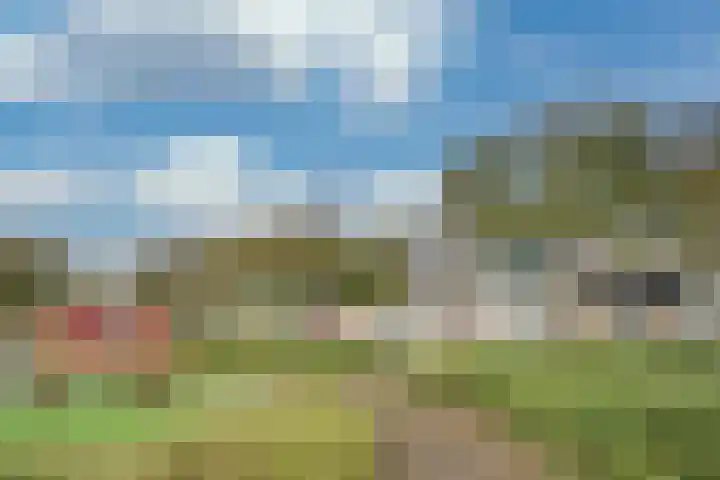 Hannie Schaftrode 40 Zoetermeer thumbnail 33