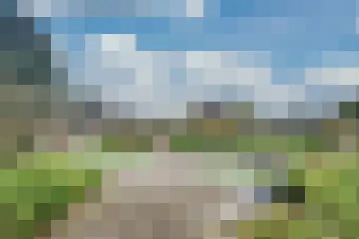 Hannie Schaftrode 40 Zoetermeer thumbnail 34