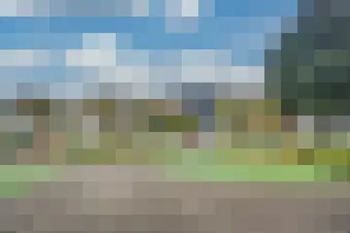 Hannie Schaftrode 40 Zoetermeer thumbnail 35