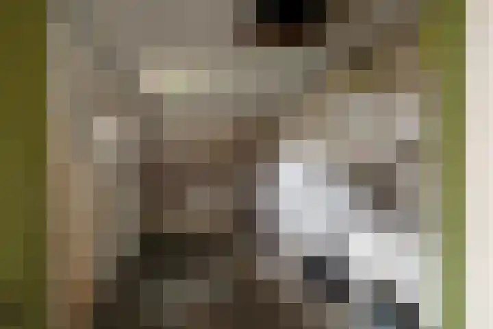 Hannie Schaftrode 40 Zoetermeer thumbnail 37
