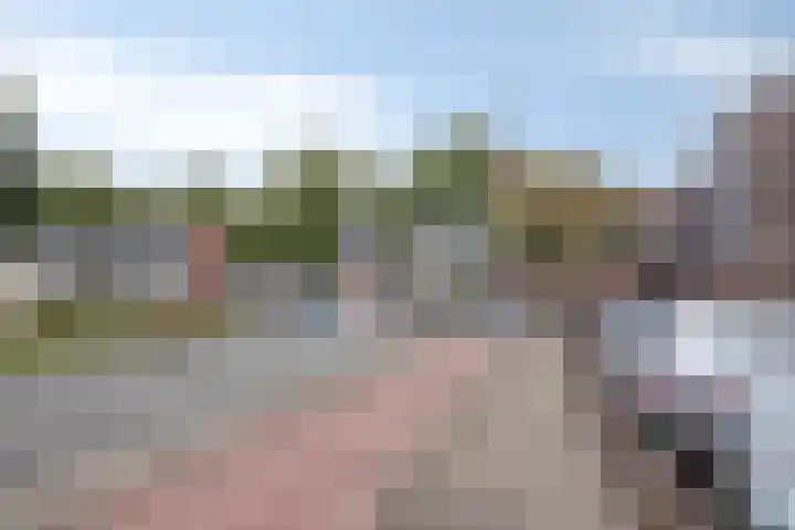 Hannie Schaftrode 46 Zoetermeer thumbnail 34