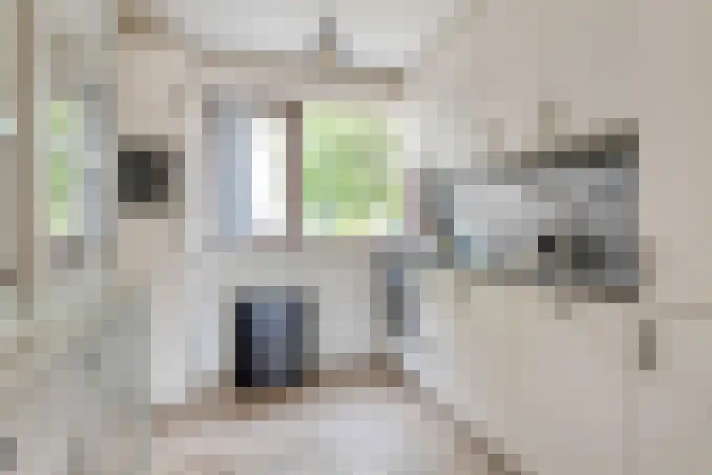 Hannie Schaftrode 47 Zoetermeer thumbnail 18