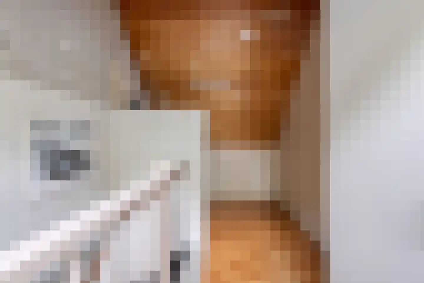 Hannie Schaftrode 47 Zoetermeer thumbnail 33