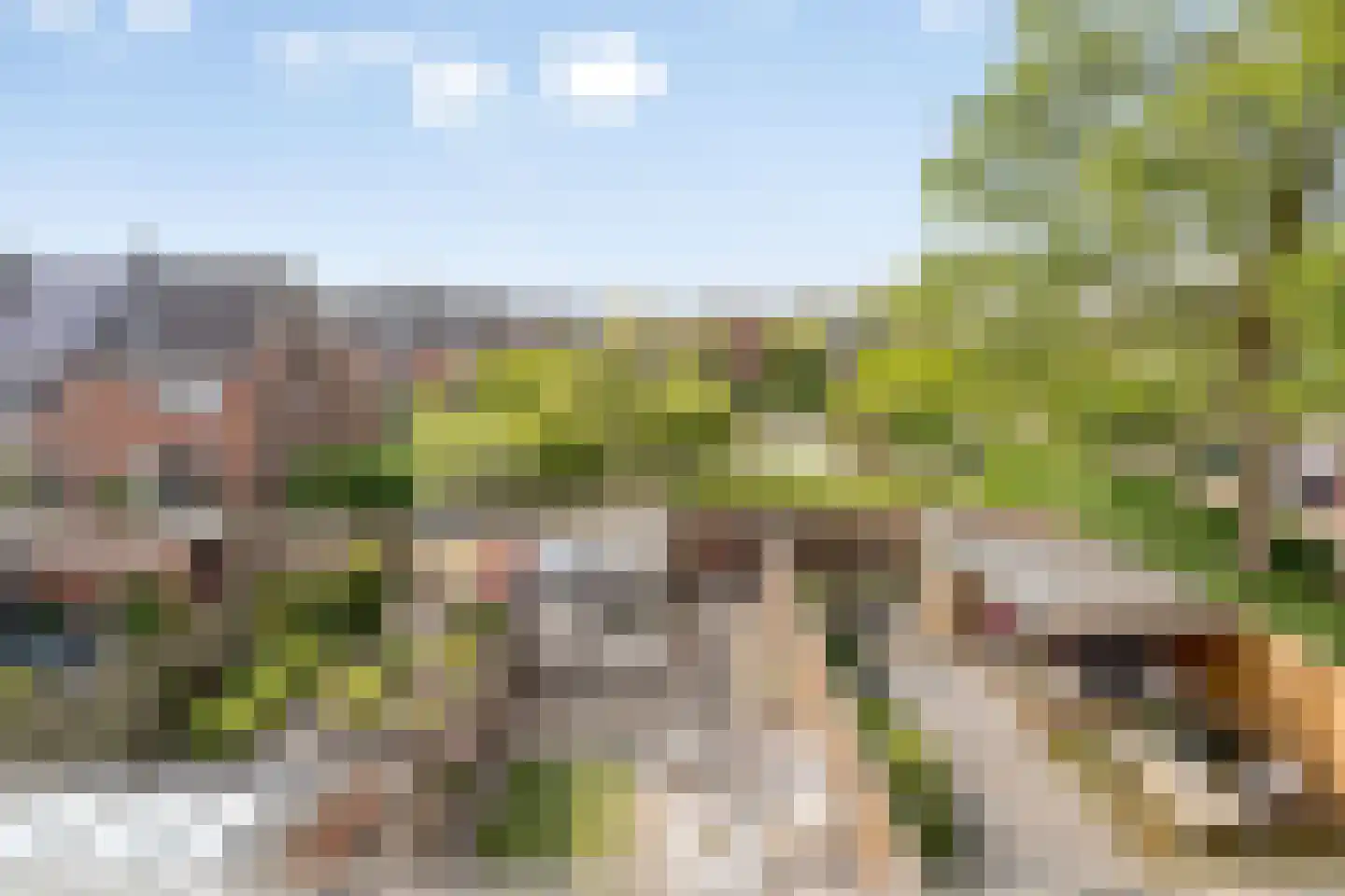 Hannie Schaftrode 47 Zoetermeer thumbnail 37