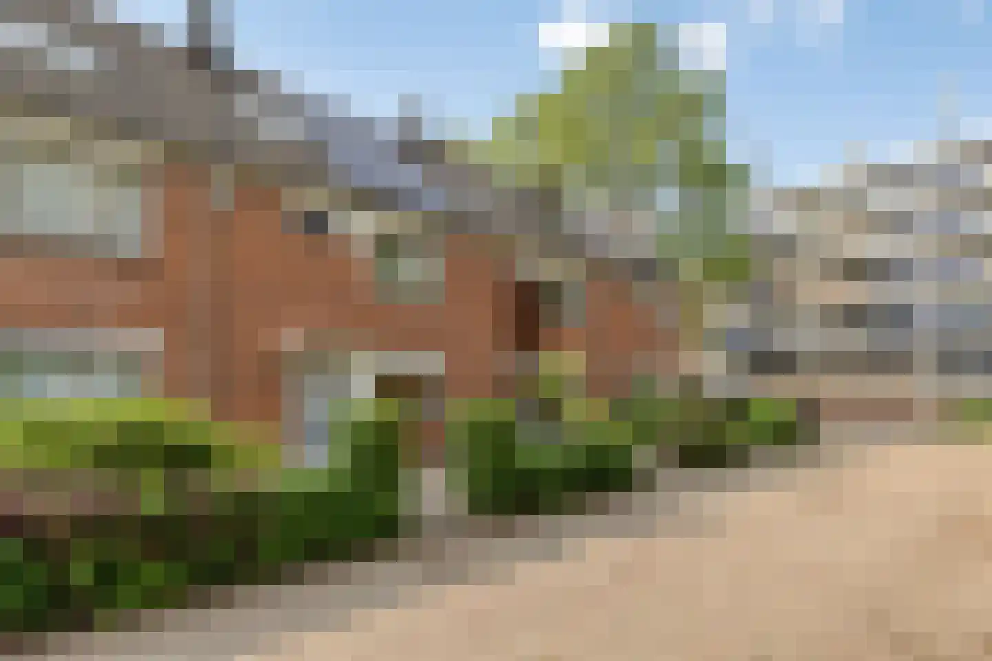 Hannie Schaftrode 47 Zoetermeer thumbnail 44