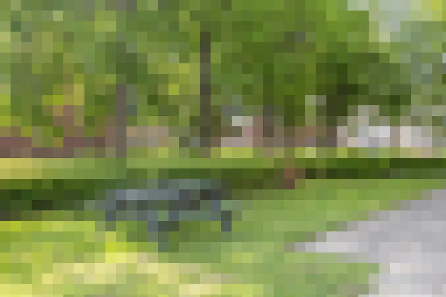 Hannie Schaftrode 47 Zoetermeer thumbnail 45