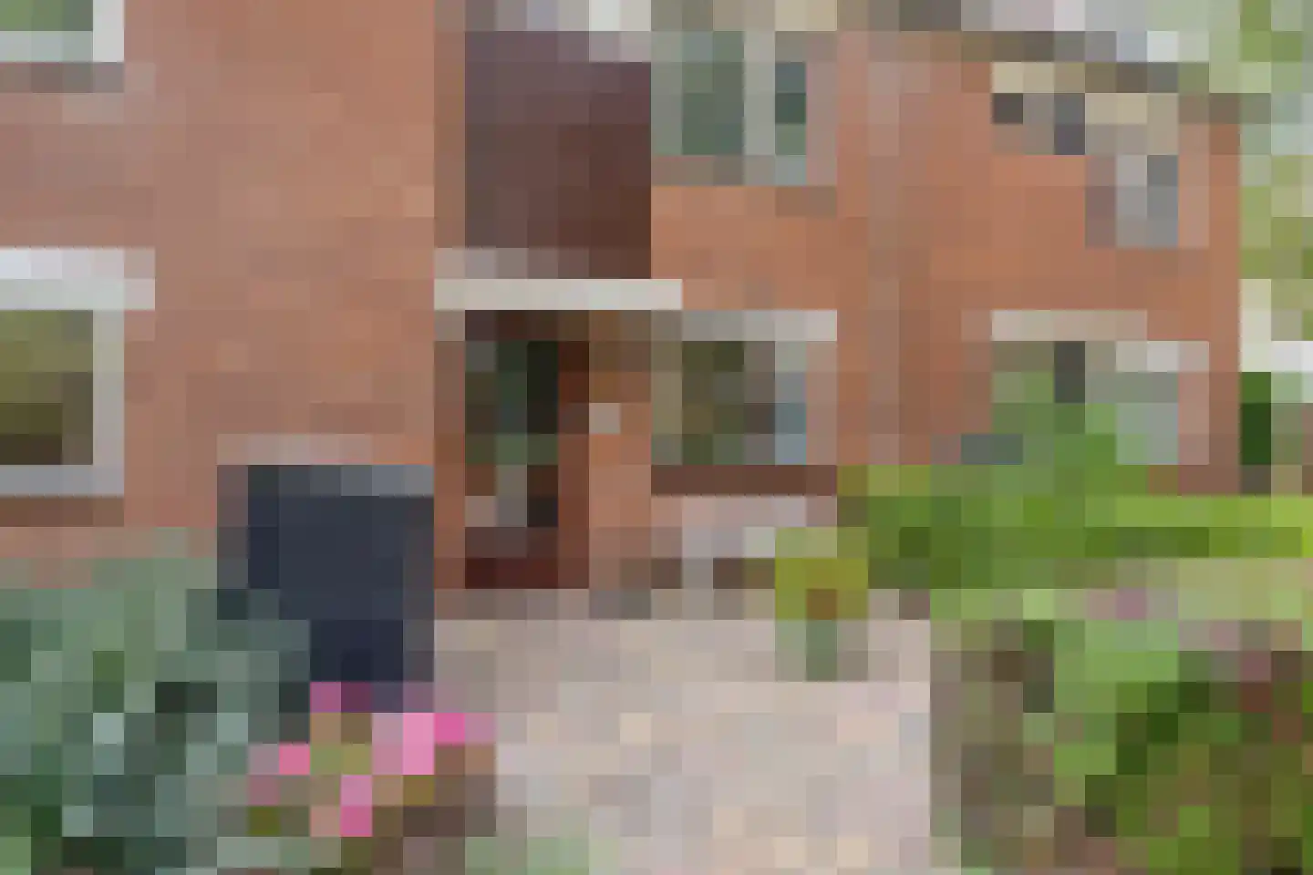 Hannie Schaftrode 47 Zoetermeer thumbnail 6