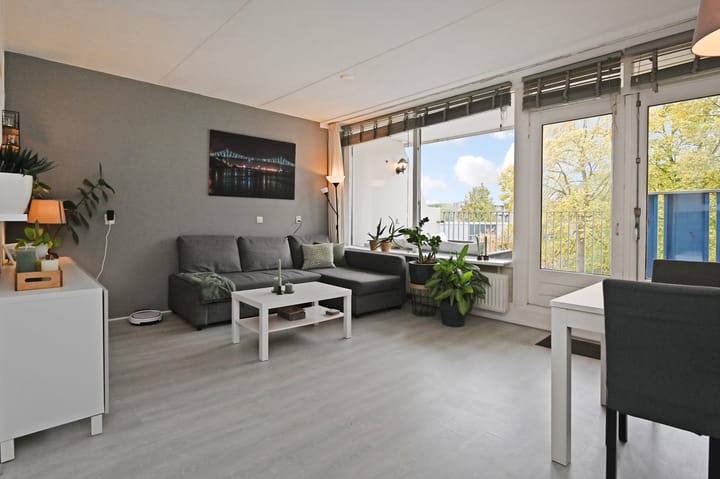 Hannie Schaftrode 66 dans Zoetermeer photo