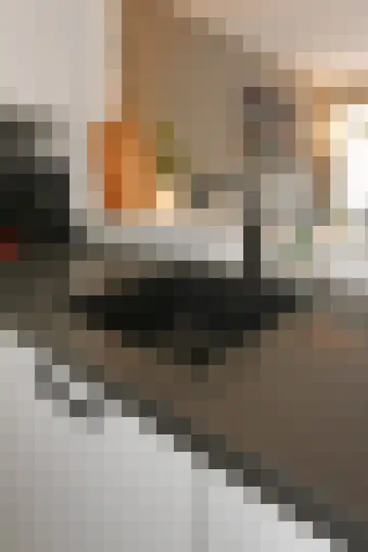 Hannie Schaftrode 66 Zoetermeer thumbnail 21